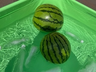 IMG_0979.jpeg